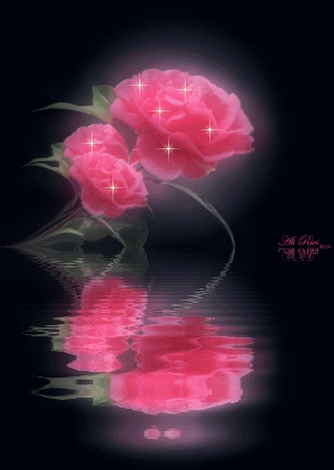 3636.gif